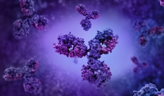 Untitled design - 2026-03-13T161149.977