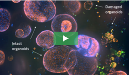 molecular-devices-hero-models-v1